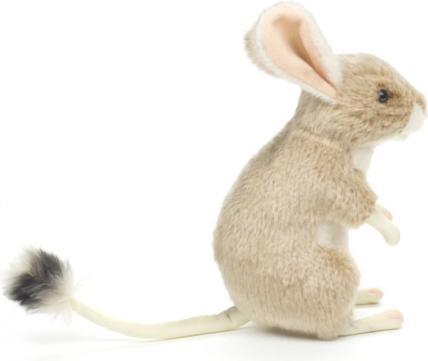 Lekki i odpowiedni w podróż