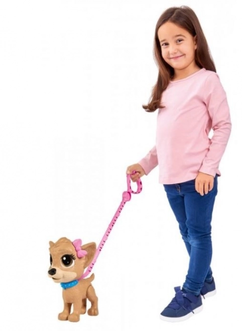 CCL Piesek Chihuahua Pii Pii