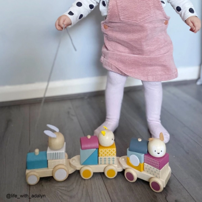 Bigjigs Baby Drewniany pociąg ze zwierzątkami