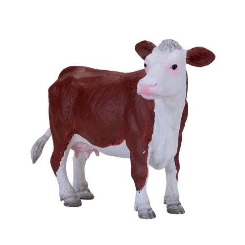 Mojo Herefordska krowa