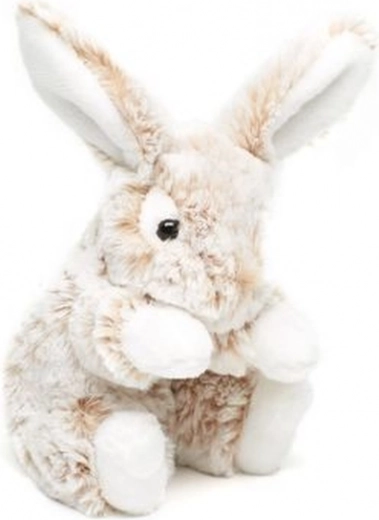 Idealny rozmiar 20 cm