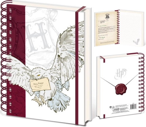 Harry Potter notes z kółkami Special Delivery