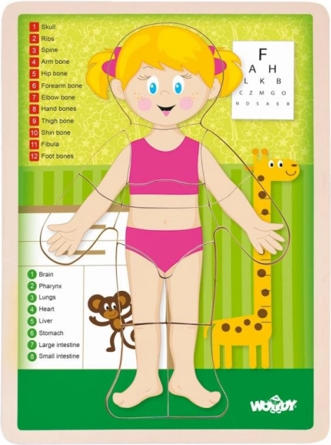 Woody dwustronne puzzle ludzkie ciało – dziewczynka (po angielsku)