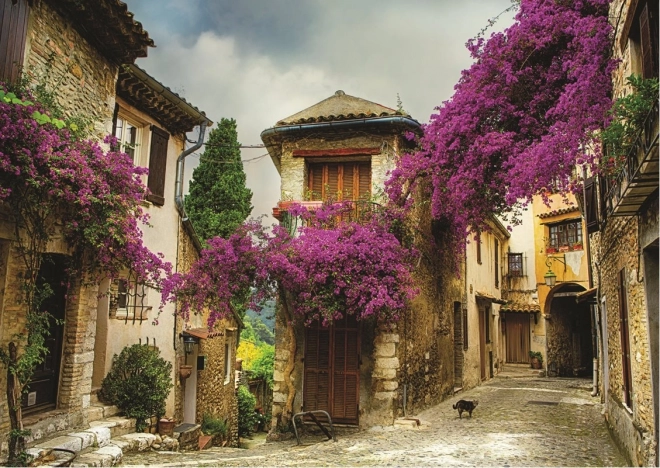 Puzzle ANATOLIAN Stare Miasto 1500 elementów