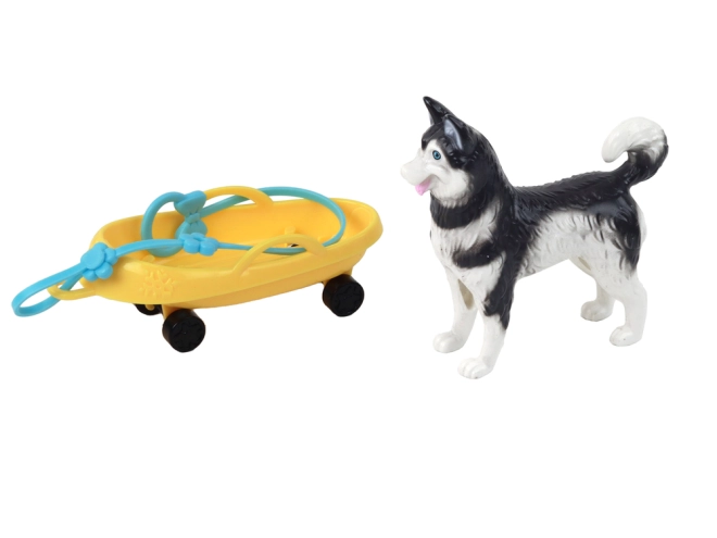 Pies Husky jako wierny towarzysz