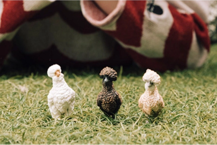 Trzy warianty kolorystyczne dla łatwego rozróżnienia