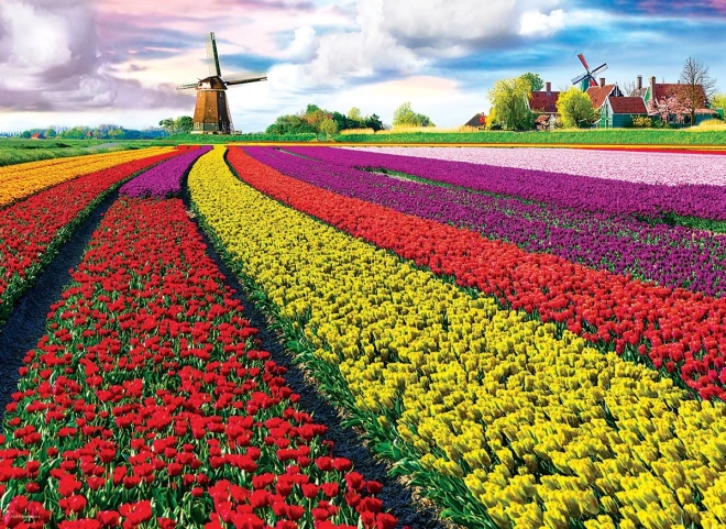 EUROGRAPHICS puzzle pole tulipanów – 1000 elementów