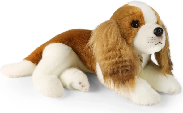 Pluszowy pies Cavalier King Charles Spaniel 40 cm od RAPPA