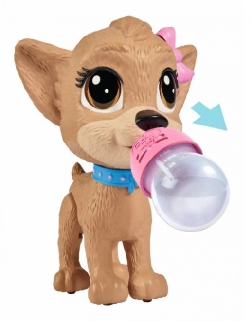 CCL Piesek Chihuahua Pii Pii