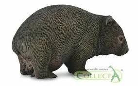 Kolekcja Wombat Niedźwiedziook Collecta