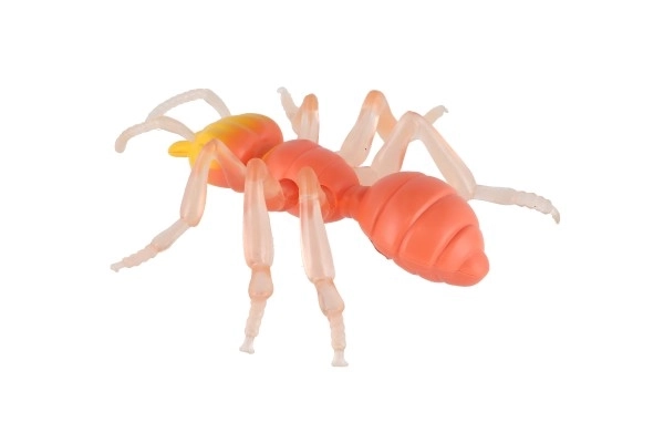 Antystresowa Mrówka