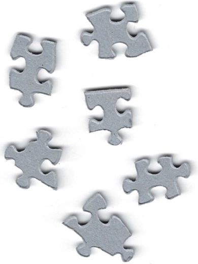 Unikatowa wykrawarka bez siatki