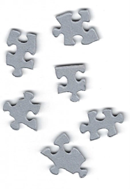 Eurographics Puzzle Miłość lata 60. 1000 elementów