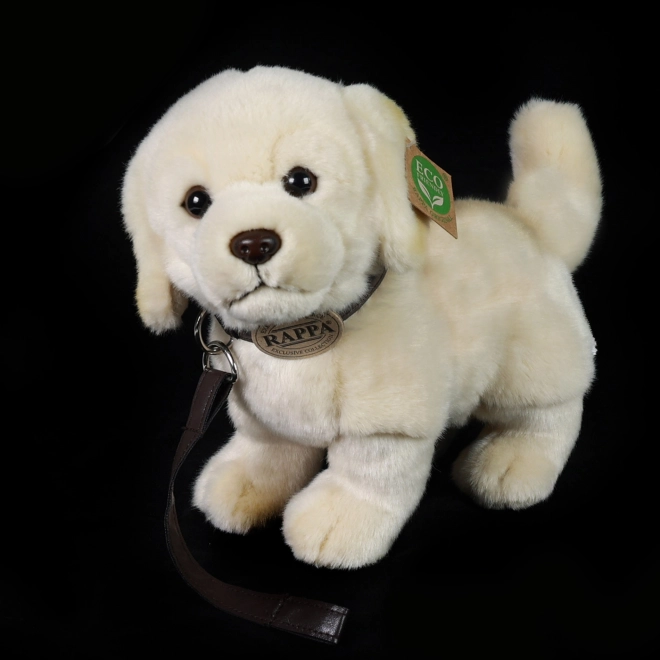Pluszowy pies Golden Retriever z smyczą 25 cm