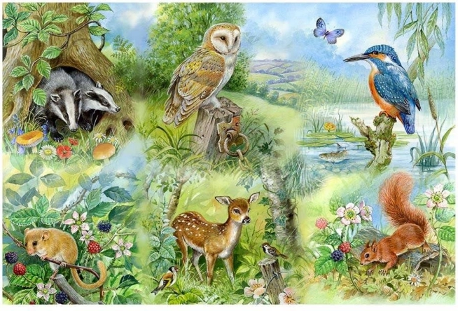 Puzzle Studium przyrody 250 elementów