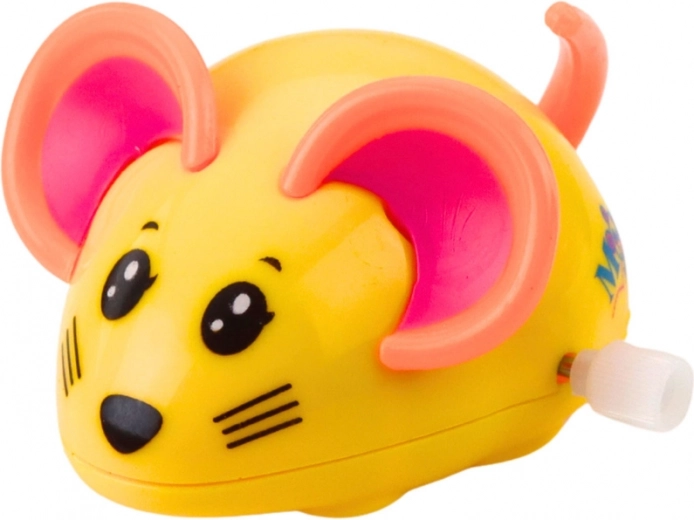 Wesoły mix kolorów