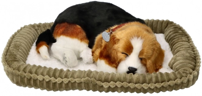 Oddychające szczeniaczko Beagle Perfect Petzzz