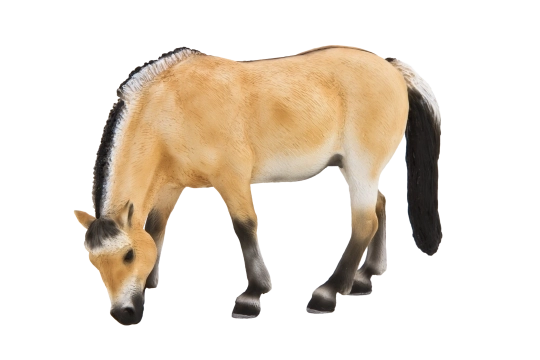 Realistyczna figurka klaczy Mojo Fjord