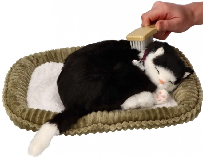 Interaktywna zabawka Perfect Petzzz czarno-biały kot