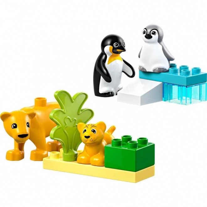 Lego Duplo Rodziny dzikich zwierząt: Pingwiny i lwy
