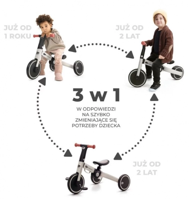 Trójkołowiec 4TRIKE SREBRNY SZARY