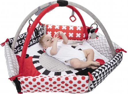 Wspiera rozwój wzroku i motoryki