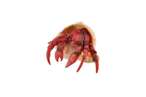 Krab pustelnik zooted plastikowy 7cm w woreczku