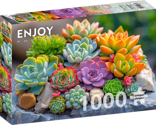 Puzzle Sukulenty 1000 elementów