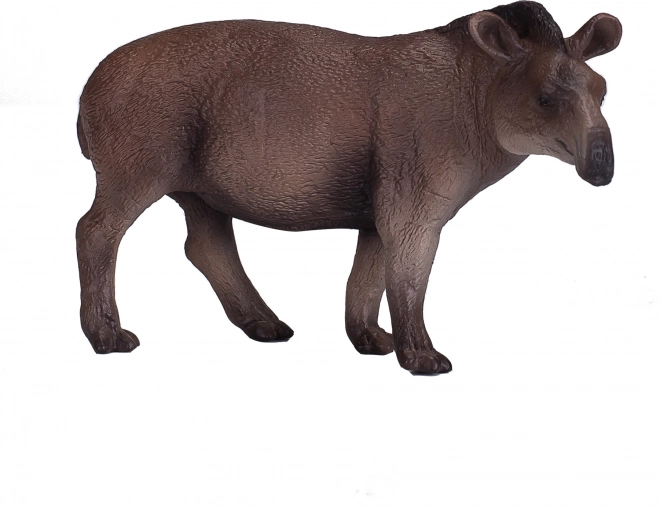 Mojo Tapir południowoamerykański