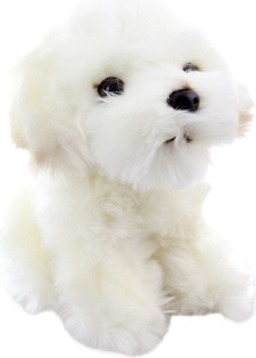 Realistyczne detale urocego szczeniaczka