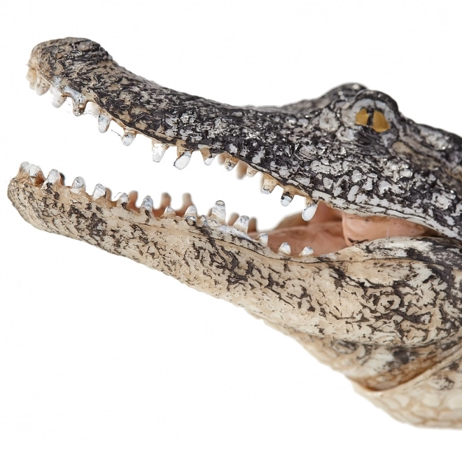 Mojo Animal Planet Aligator