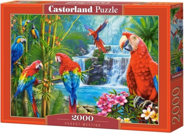 Puzzle 2000 elementów Parrot Meeting