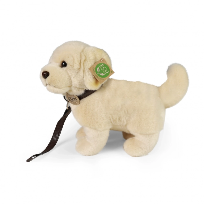 Pluszowy pies Golden Retriever z smyczą 25 cm