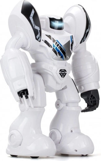 Programowanie do 20 akcji