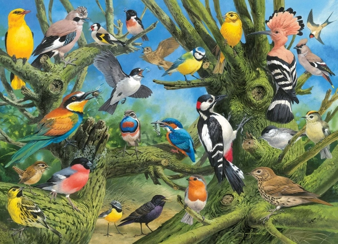 EUROGRAPHICS puzzle Ptaki w ogrodzie – 1000 elementów