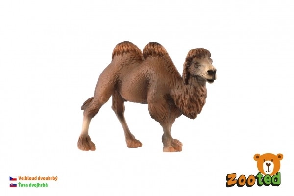 Wielbłąd dwugarbny – plastikowa figurka 12 cm