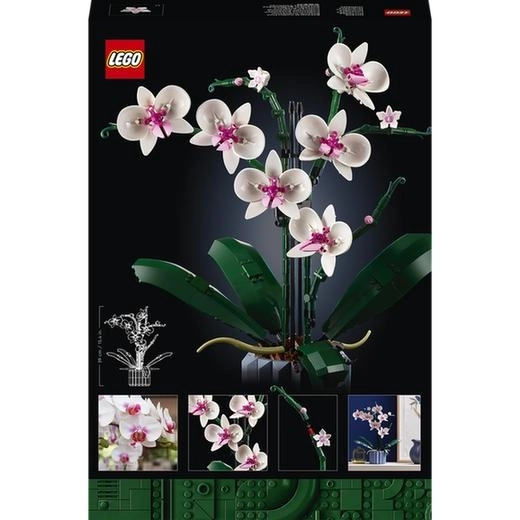 LEGO Icons 10311 Orchidea
