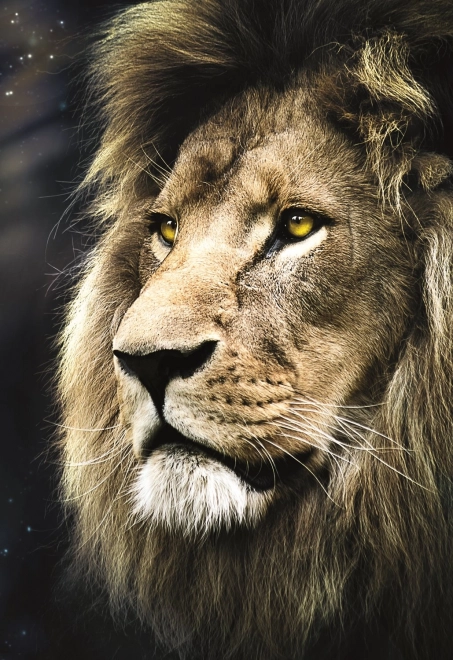 Puzzle 1500 elementów – portret lwa