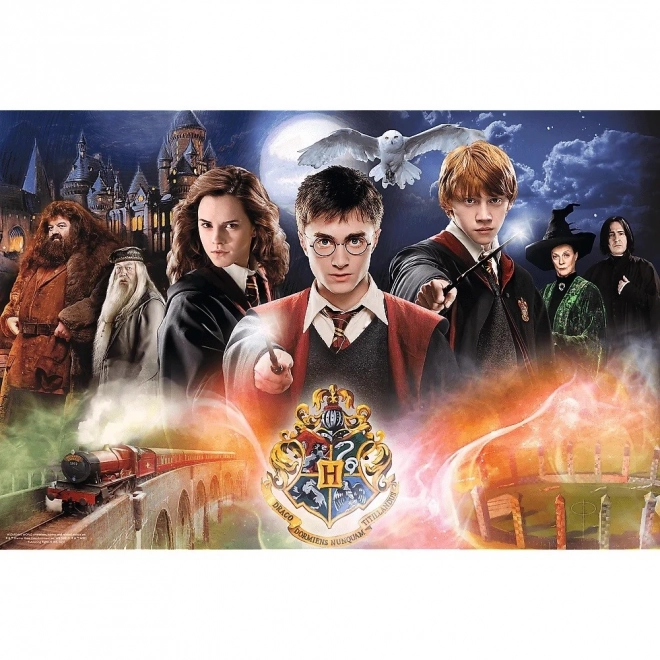 Tajemnicze puzzle Harry Potter 300 elementów