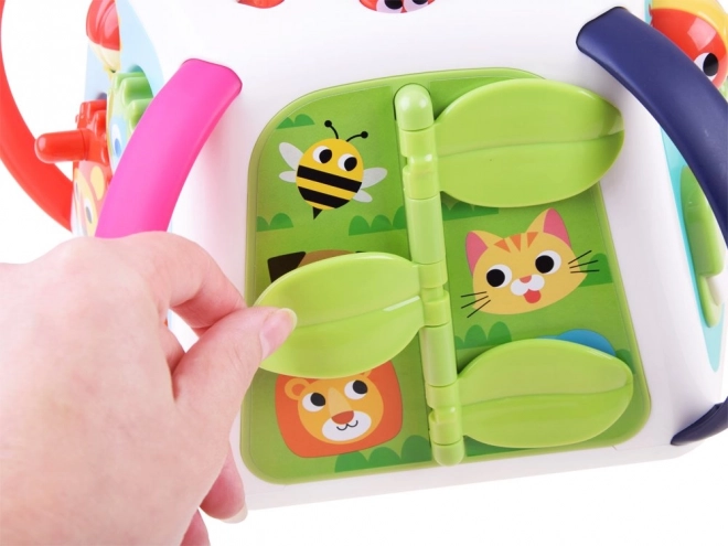 Interaktywna kostka edukacyjna Hola