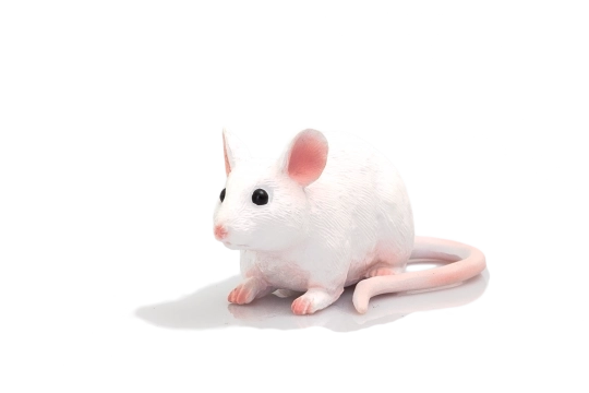 Mojo Mysz