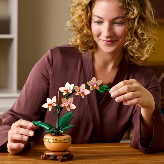 Lego Botanicals Mała Orchidea