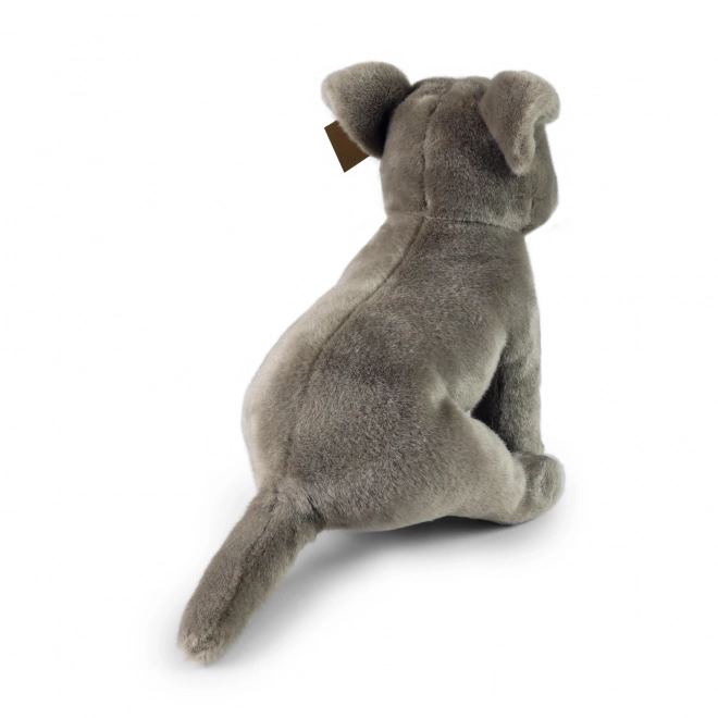 Pluszowy pies staffordshire bull terrier 30cm EKOLOGICZNY