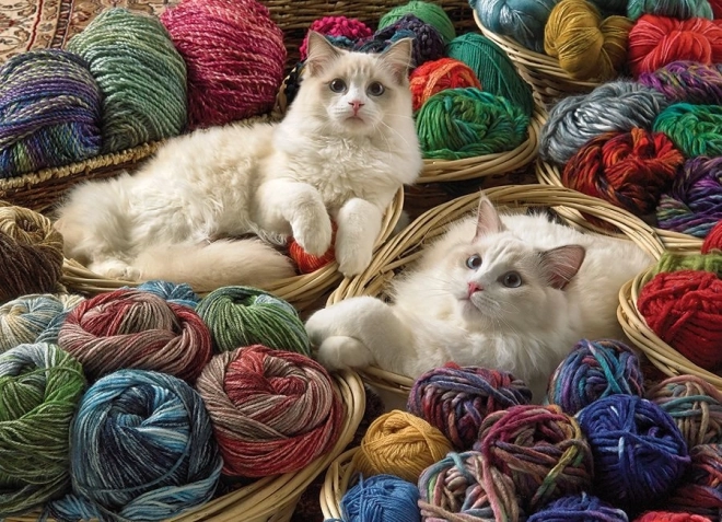 Puzzle Kot Ragdoll 1000 elementów Cobble Hill