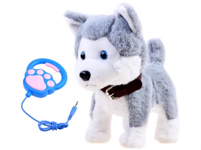 Interaktywny piesek Husky na smyczy