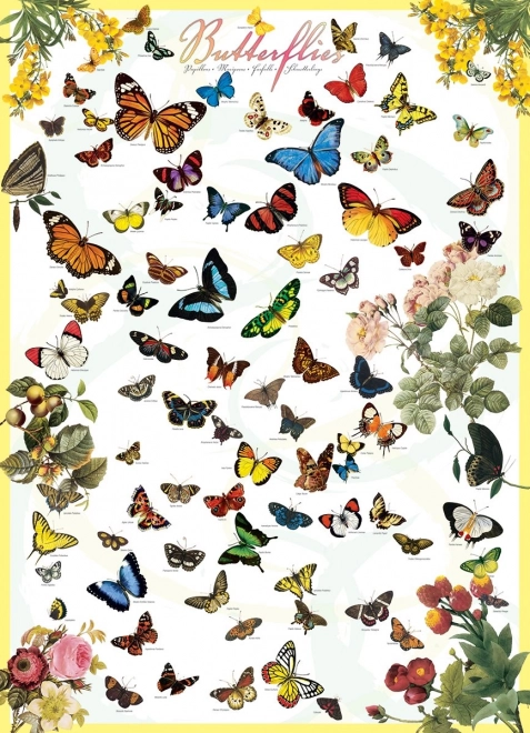 EUROGRAPHICS Puzzle Motyle 1000 elementów