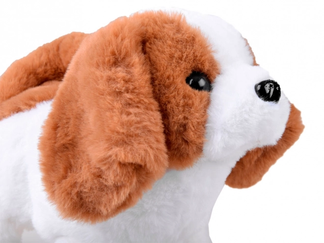 Interaktywny piesek Beagle z wyposażeniem