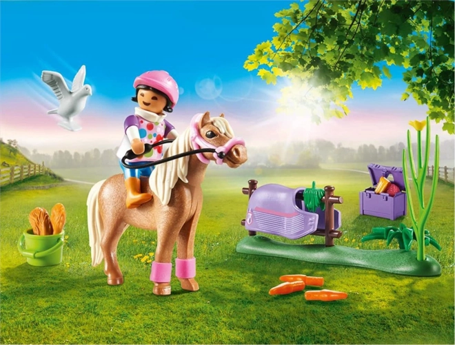 PLAYMOBIL® Country 70514 Islandzki kucyk kolekcjonerski