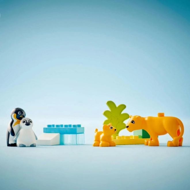 Lego Duplo Rodziny dzikich zwierząt: Pingwiny i lwy