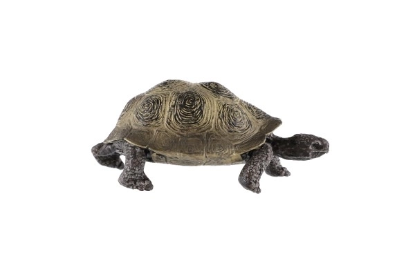 słoń żółw zooted plasterek 8cm w woreczku